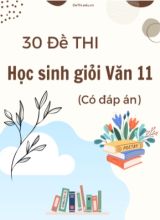 30 Đề thi học sinh giỏi Văn 11 (Có đáp án)